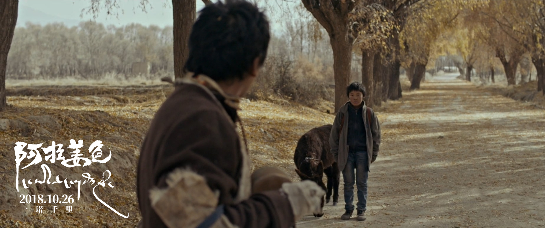 阿拉姜色剧照的剧照