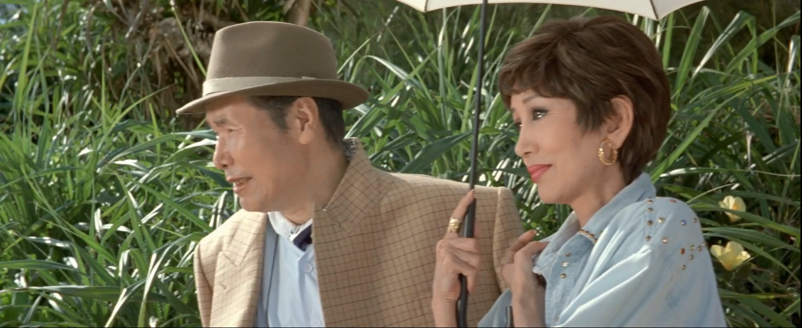 寅次郎的故事48：寅次郎红之花剧照的剧照