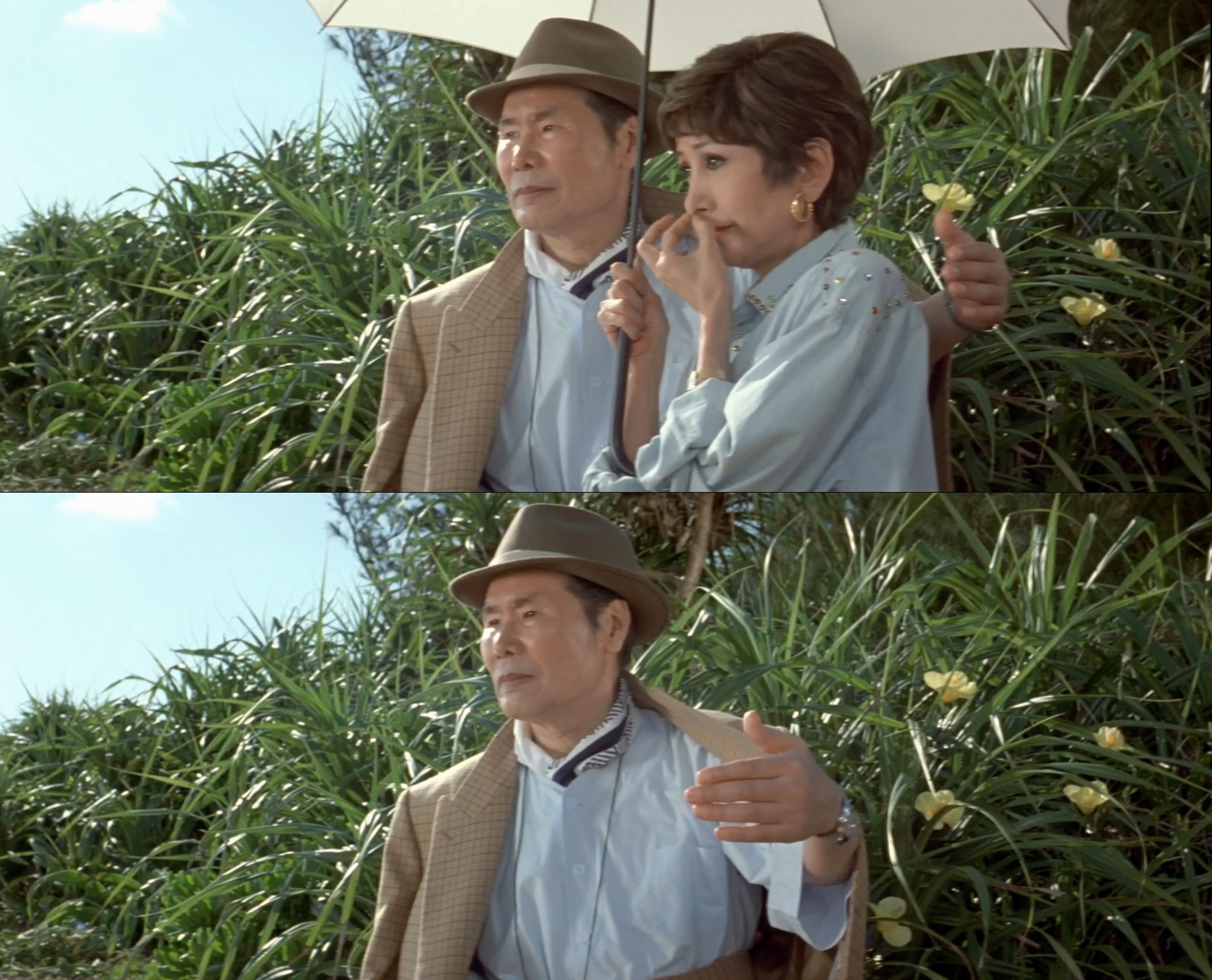 寅次郎的故事48：寅次郎红之花剧照的剧照