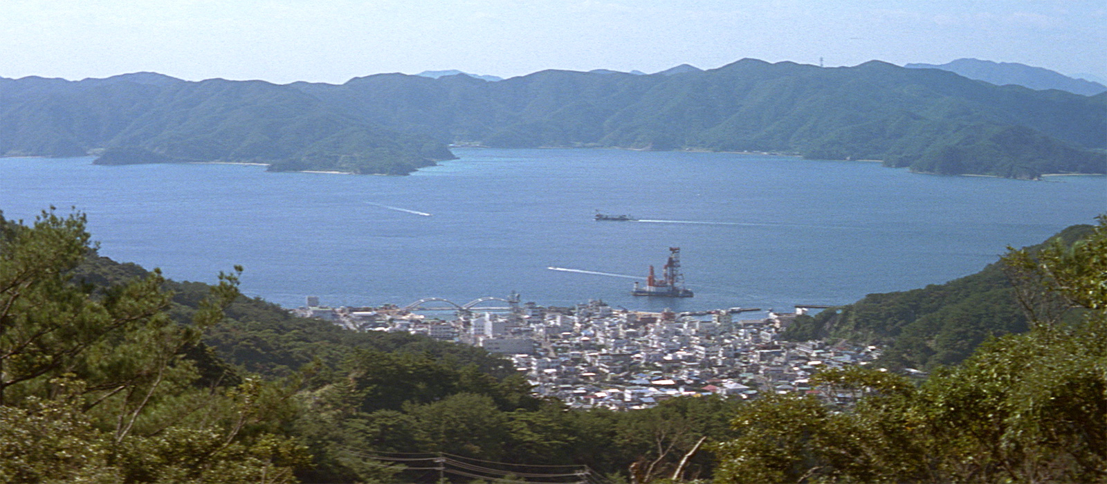 寅次郎的故事48：寅次郎红之花剧照的剧照