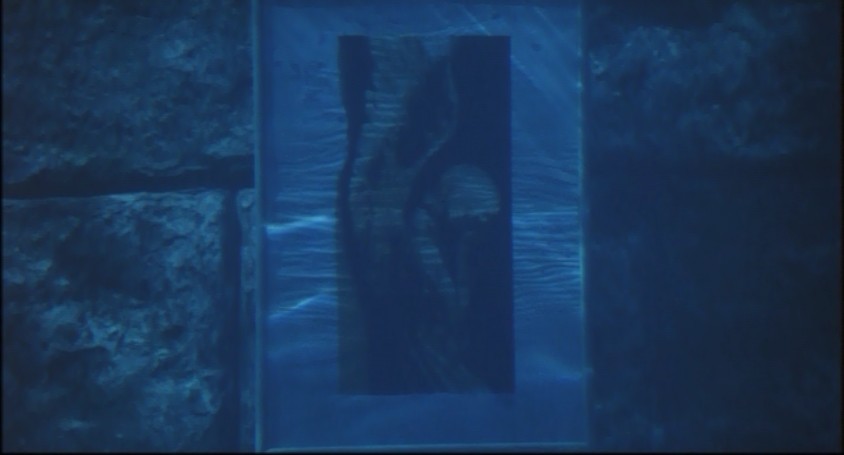 鳄鱼藏尸日记剧照的剧照