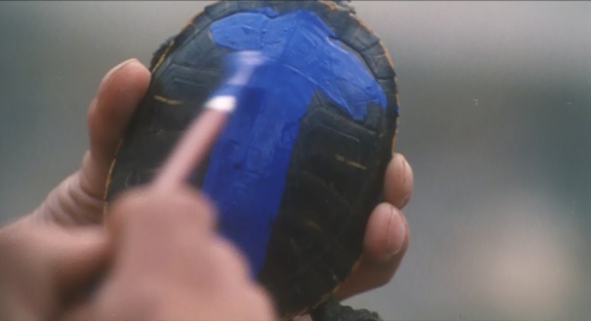 鳄鱼藏尸日记剧照的剧照