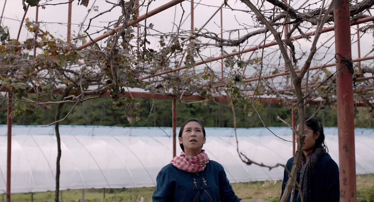 时光情书剧照的剧照