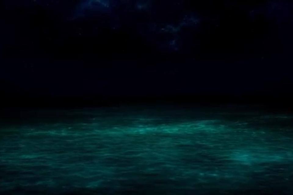 时光情书剧照的剧照