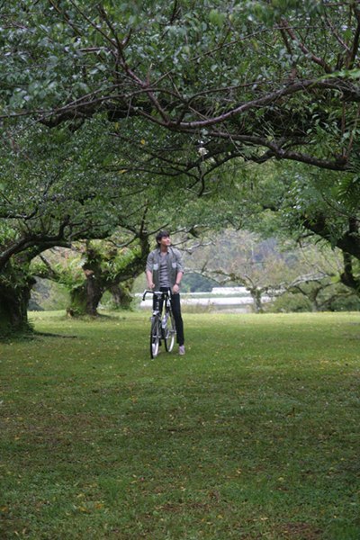 时光情书剧照的剧照