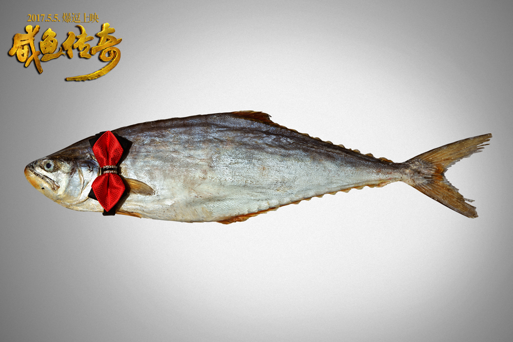 咸鱼传奇剧照的剧照