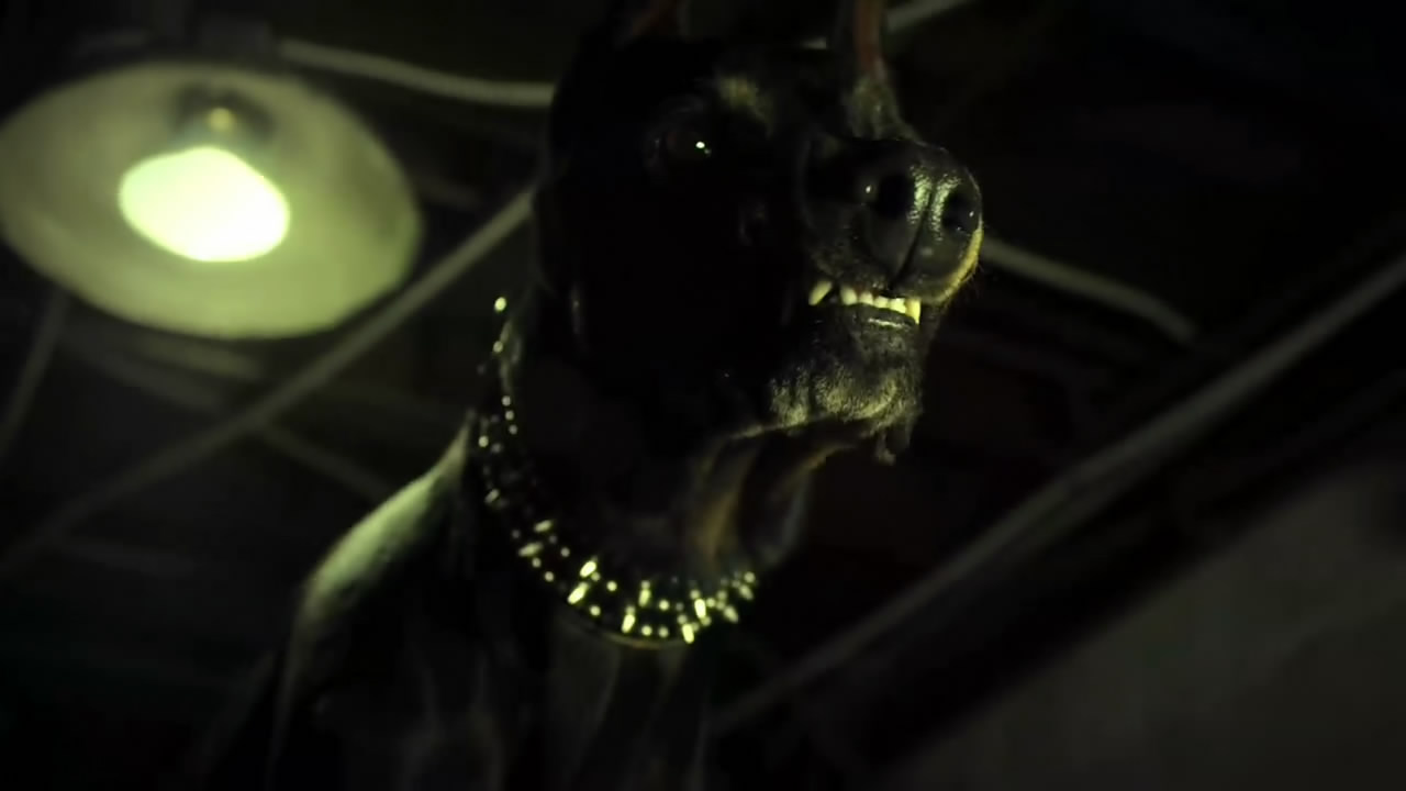 黑森林：糖果屋和420女巫剧照的剧照