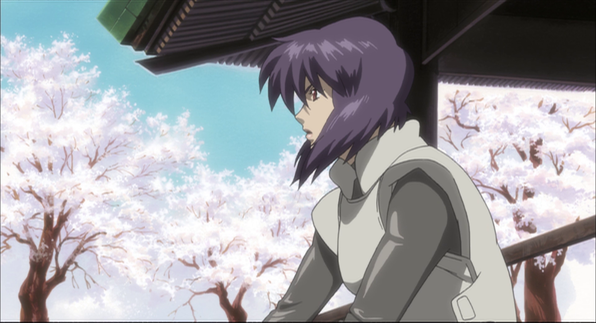 攻壳机动队SAC 2nd GIG：个别的十一人剧照的剧照