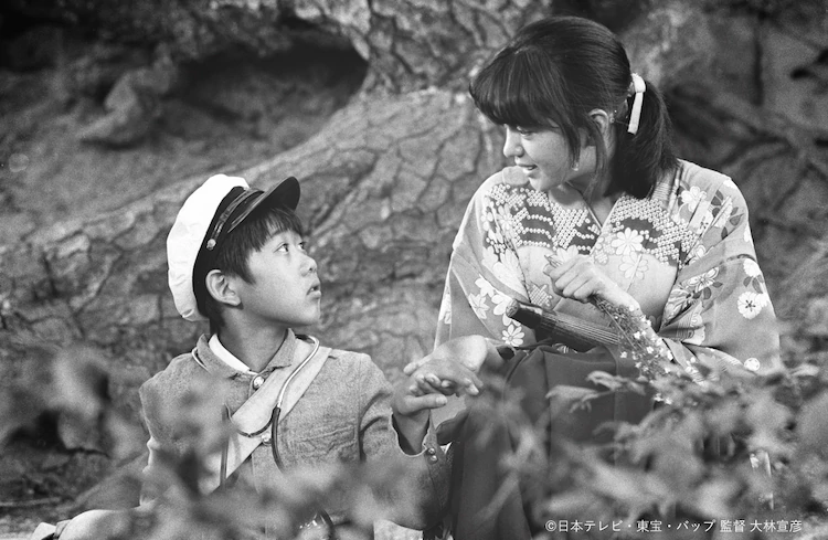 原野、山峰、海滩剧照的剧照