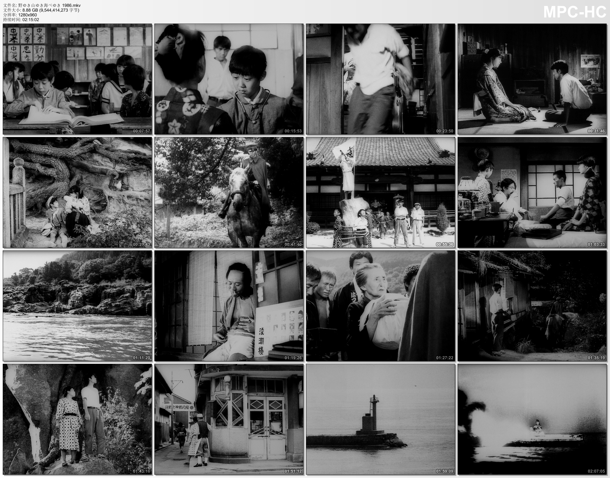 原野、山峰、海滩剧照的剧照