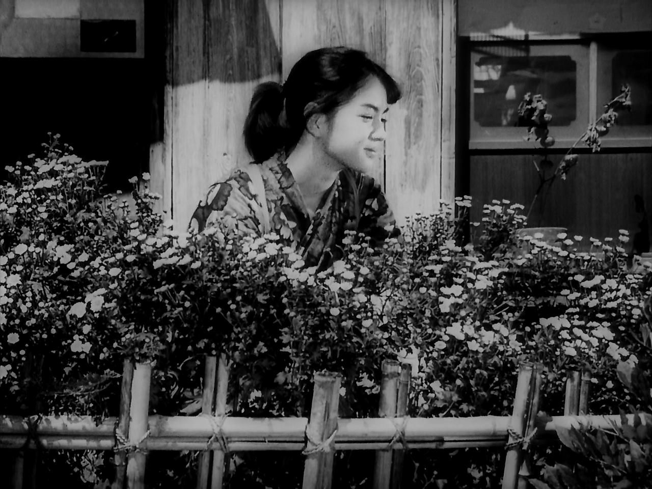 原野、山峰、海滩剧照的剧照