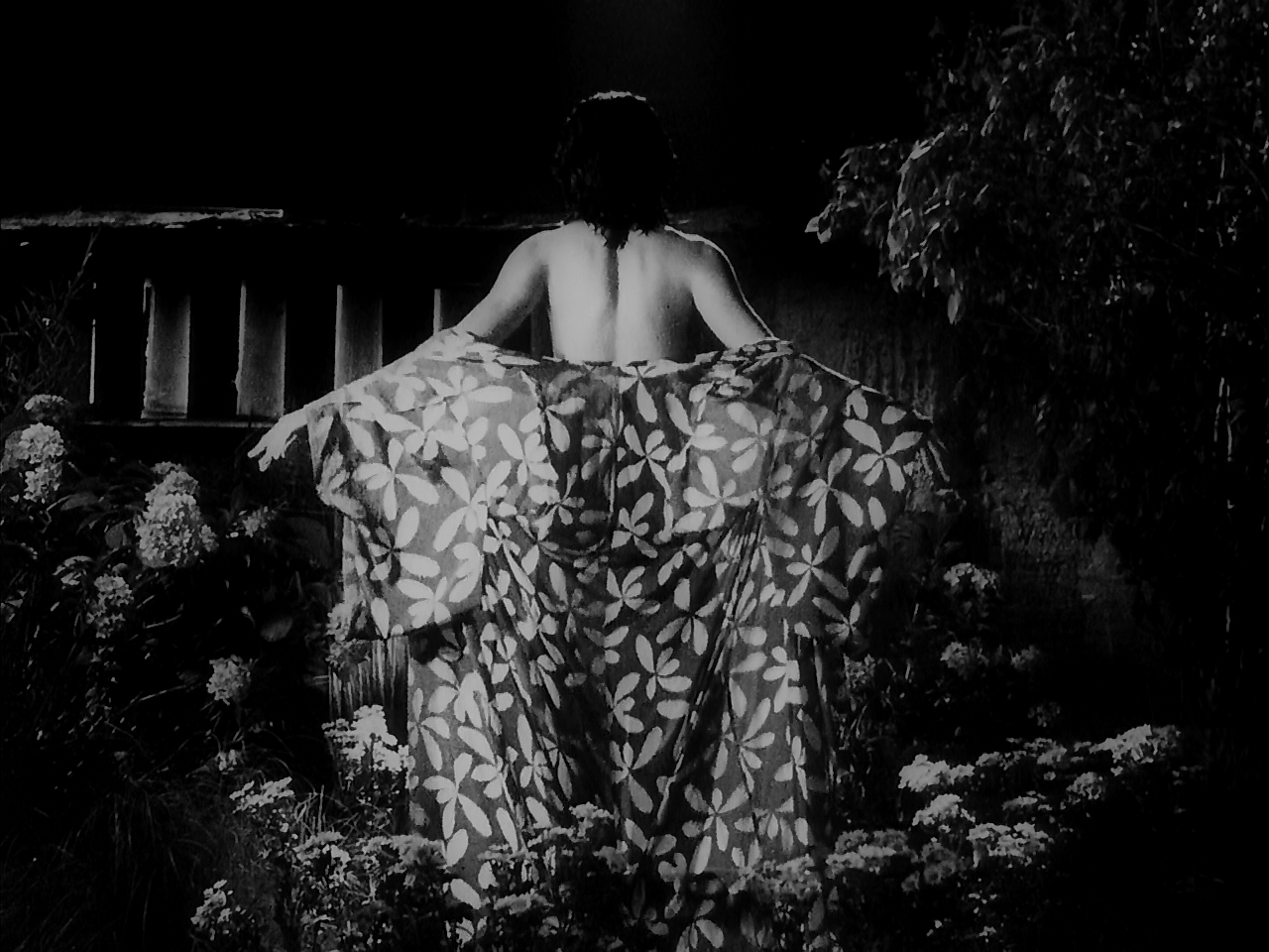 原野、山峰、海滩剧照的剧照