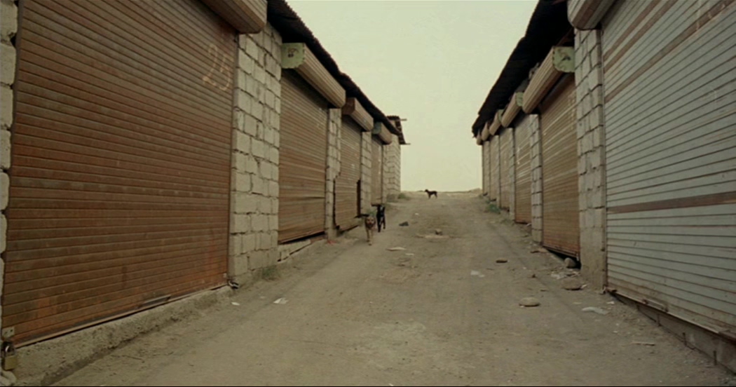 岸的另一边剧照的剧照