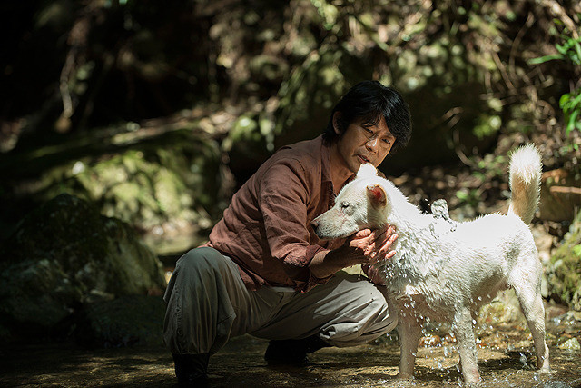 视觉剧照的剧照