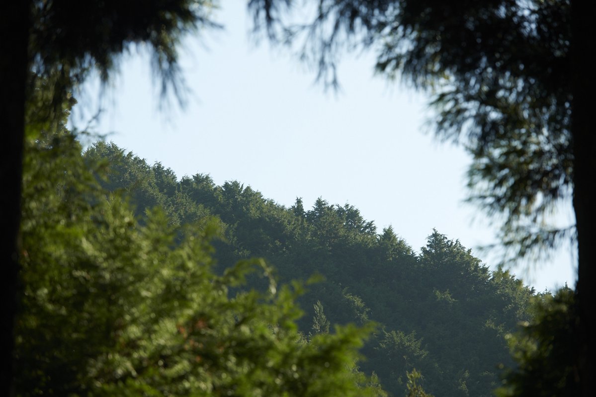 视觉剧照的剧照