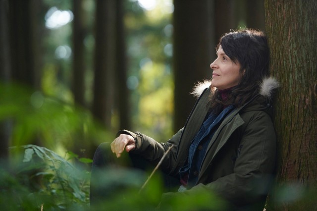 视觉剧照的剧照