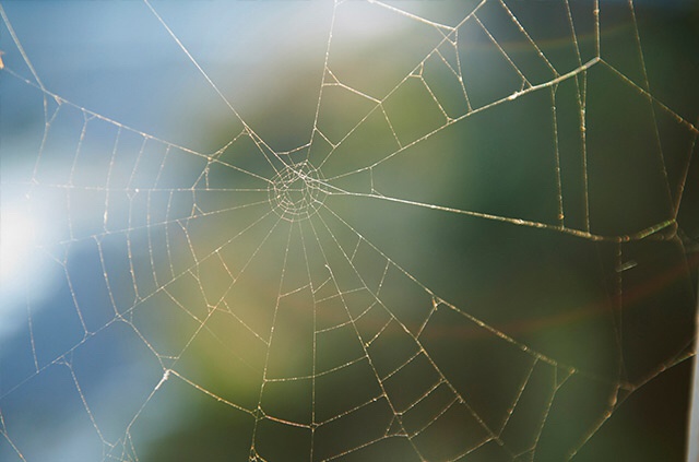 视觉剧照的剧照