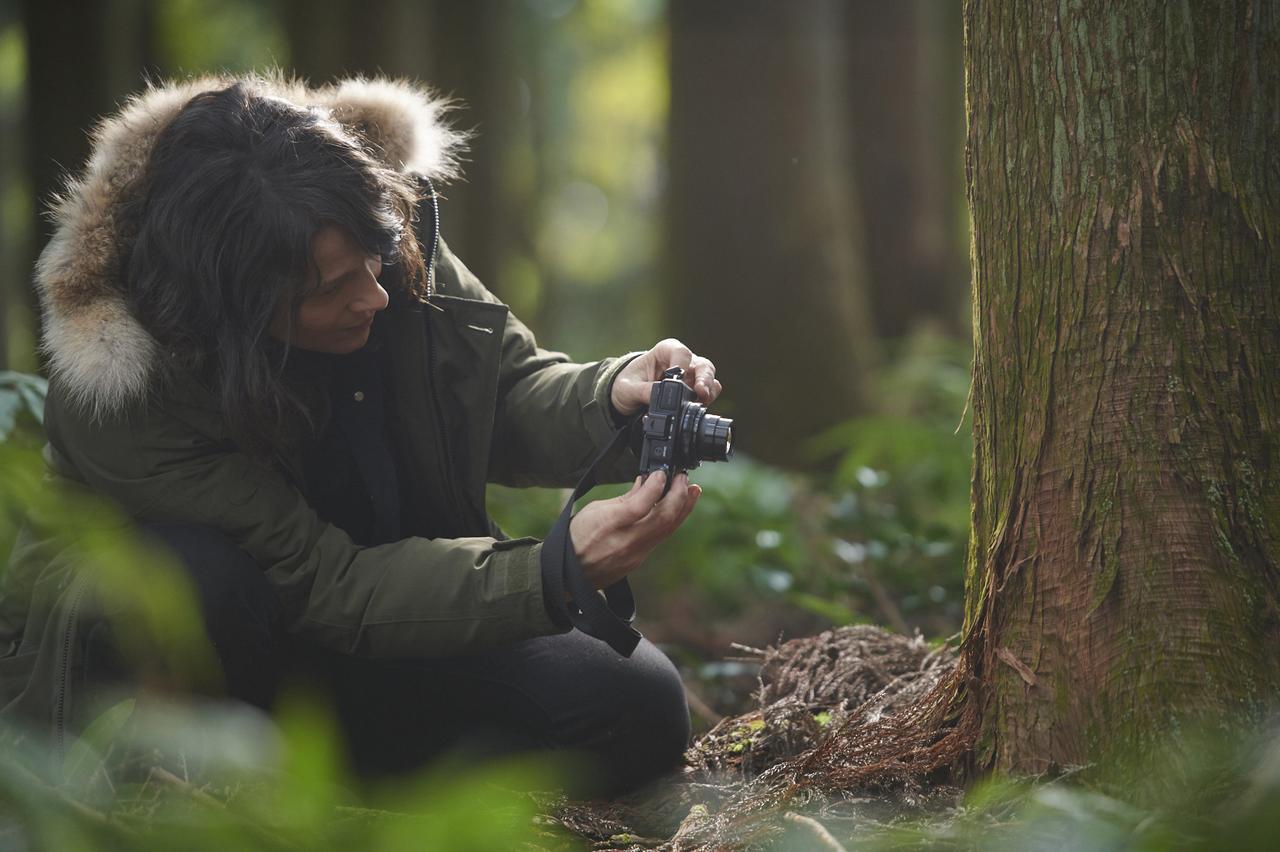 视觉剧照的剧照