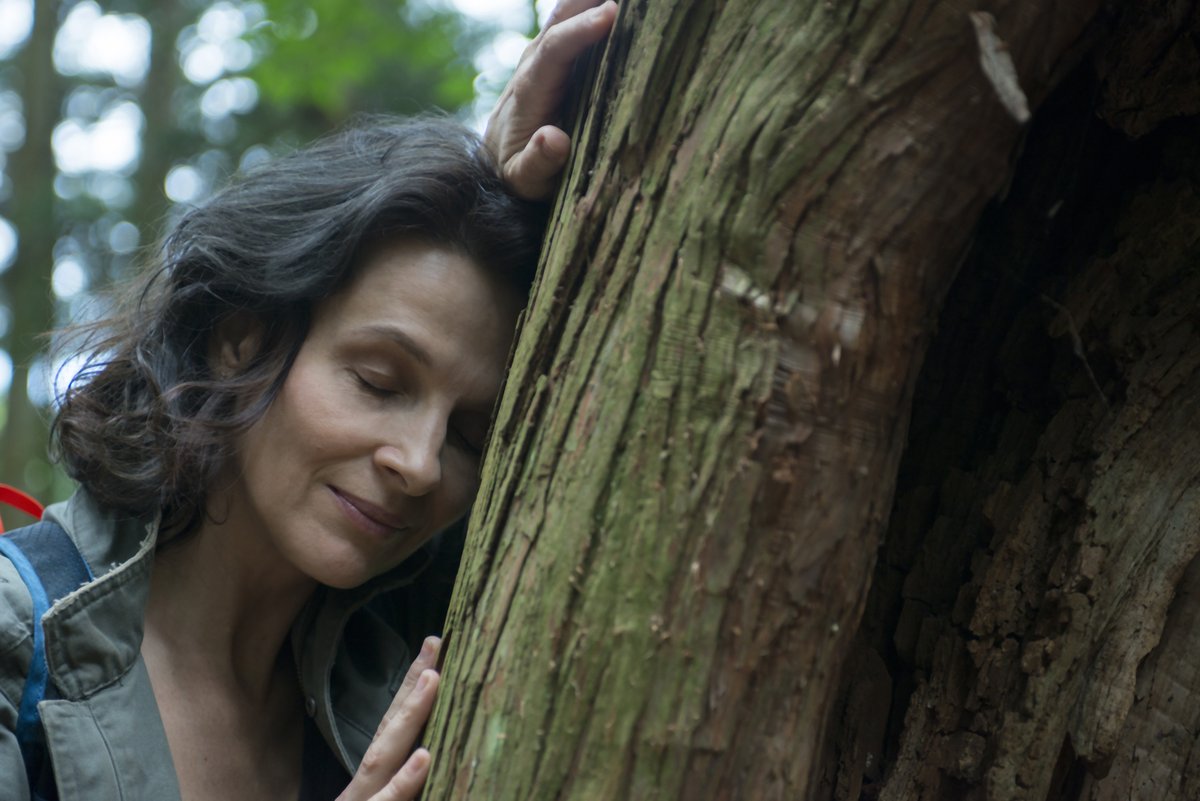 视觉剧照的剧照