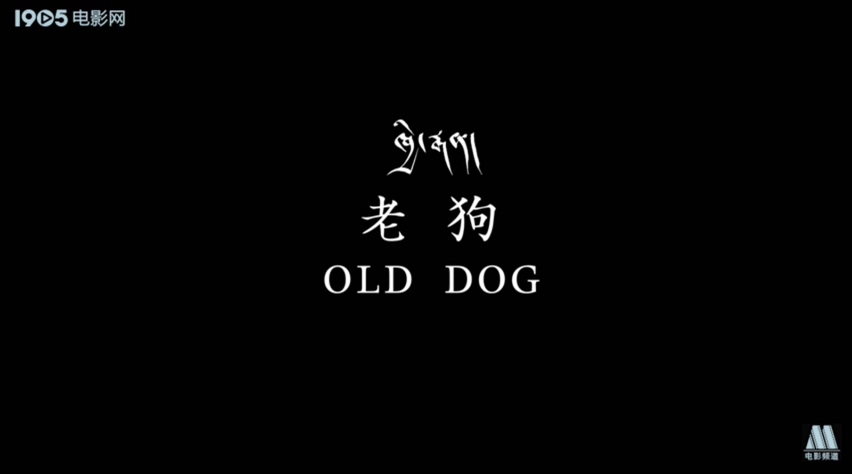 老狗剧照的剧照