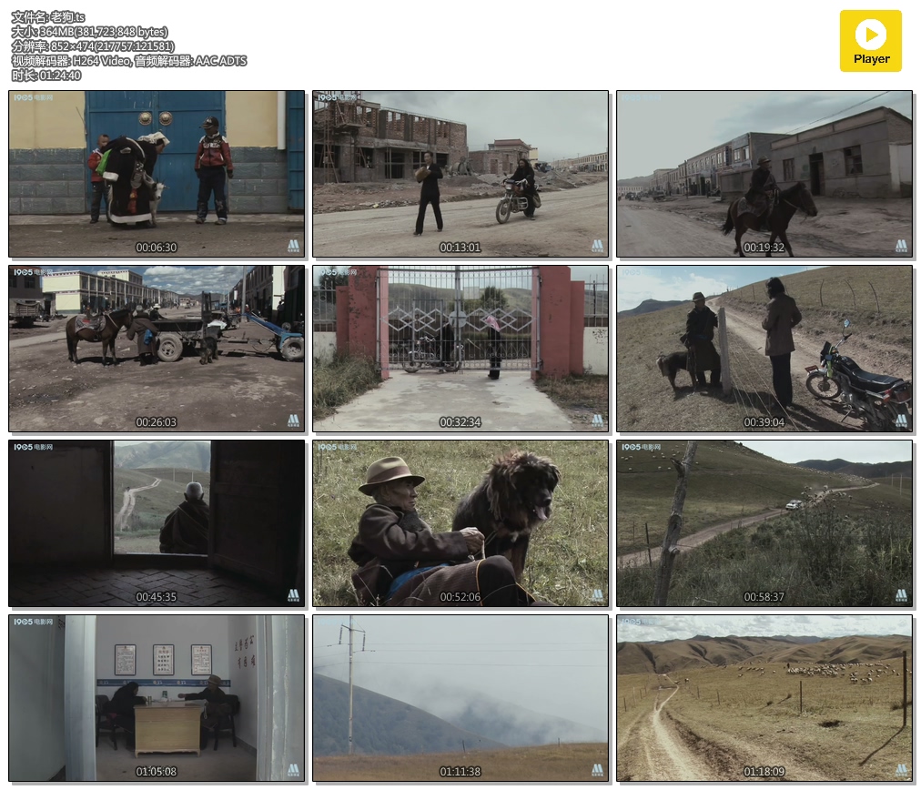 老狗剧照的剧照