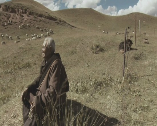 老狗剧照的剧照