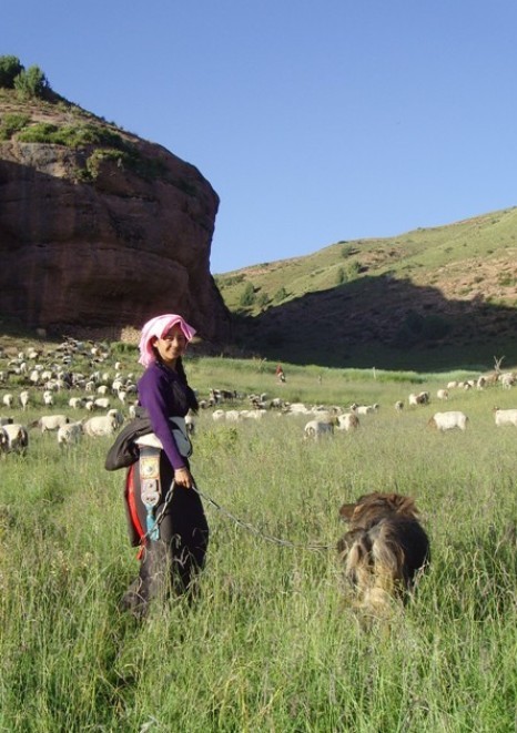 老狗剧照的剧照