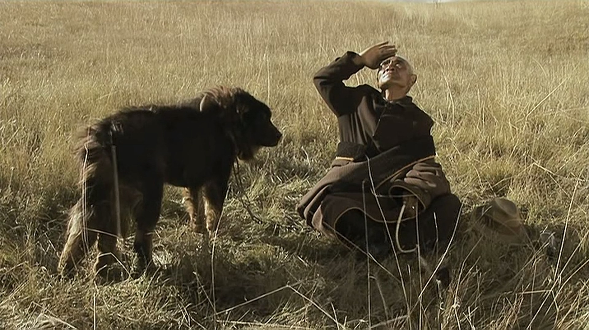 老狗剧照的剧照