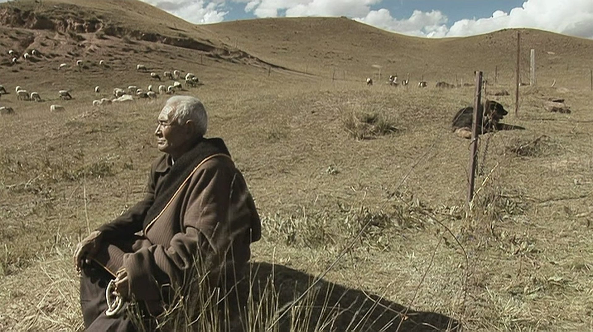 老狗剧照的剧照