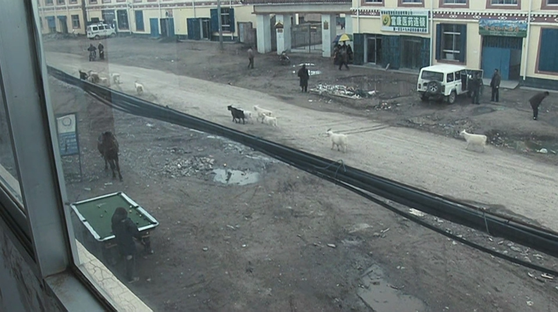 老狗剧照的剧照