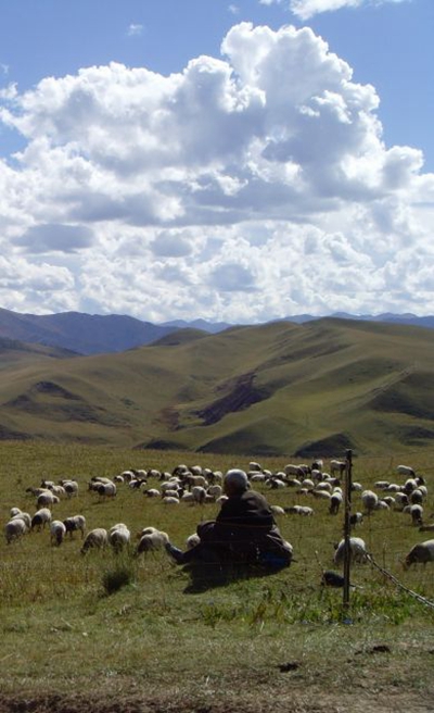 老狗剧照的剧照