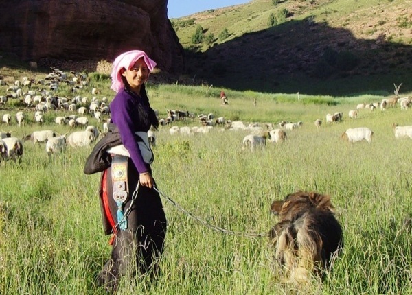 老狗剧照的剧照