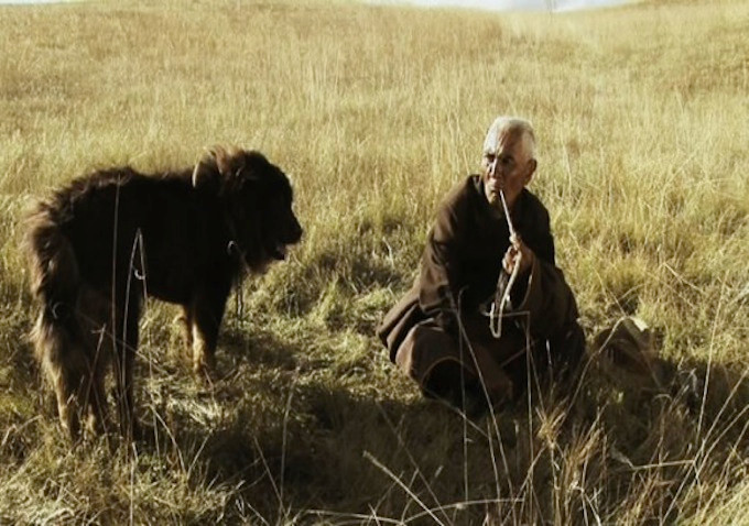 老狗剧照的剧照