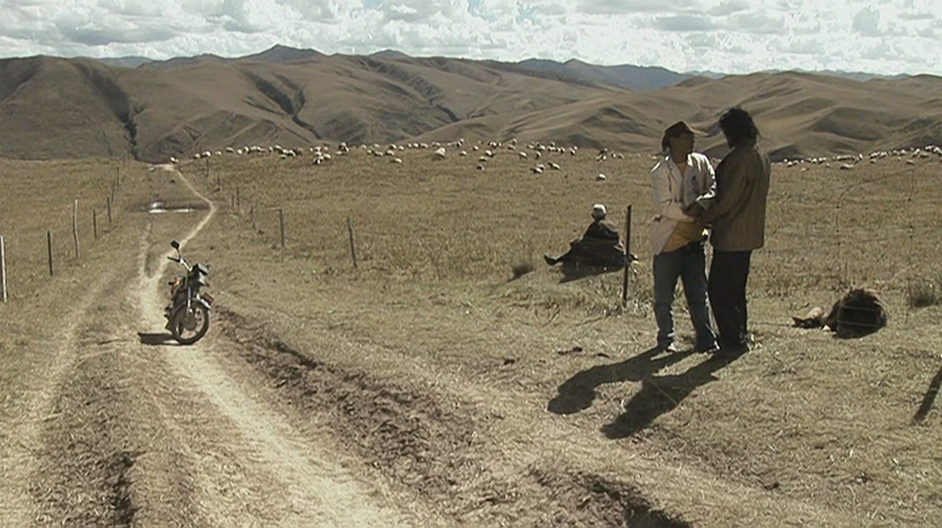 老狗剧照的剧照