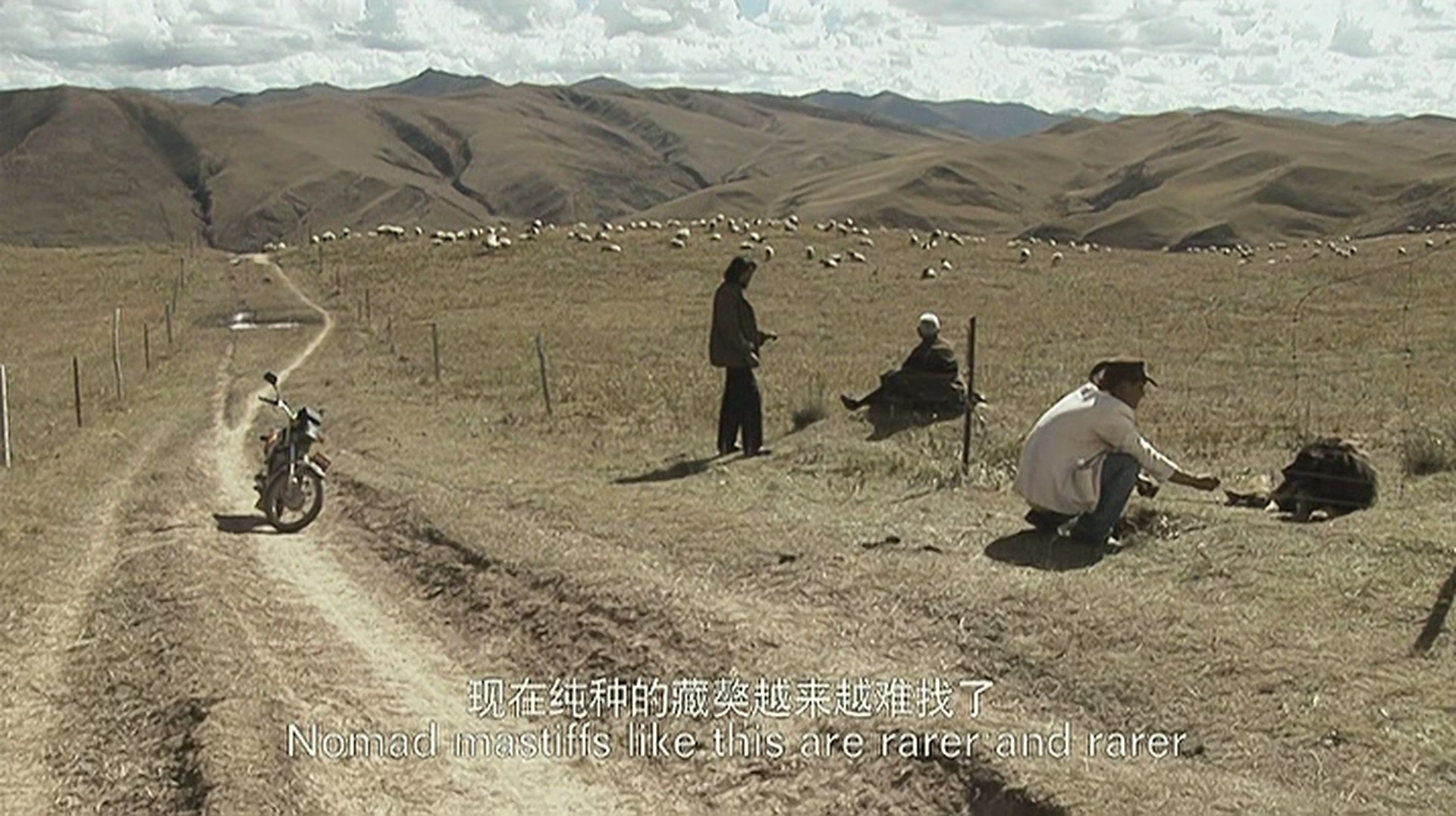 老狗剧照的剧照