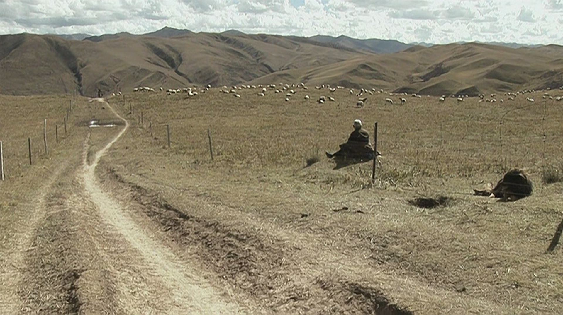 老狗剧照的剧照