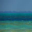 贝壳收藏家剧照