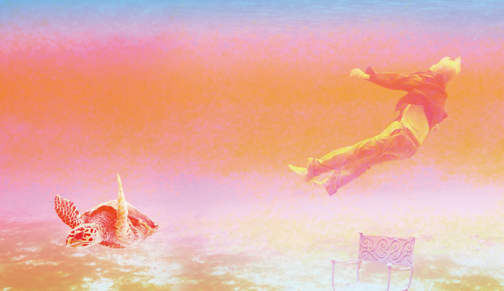 贝壳收藏家剧照的剧照