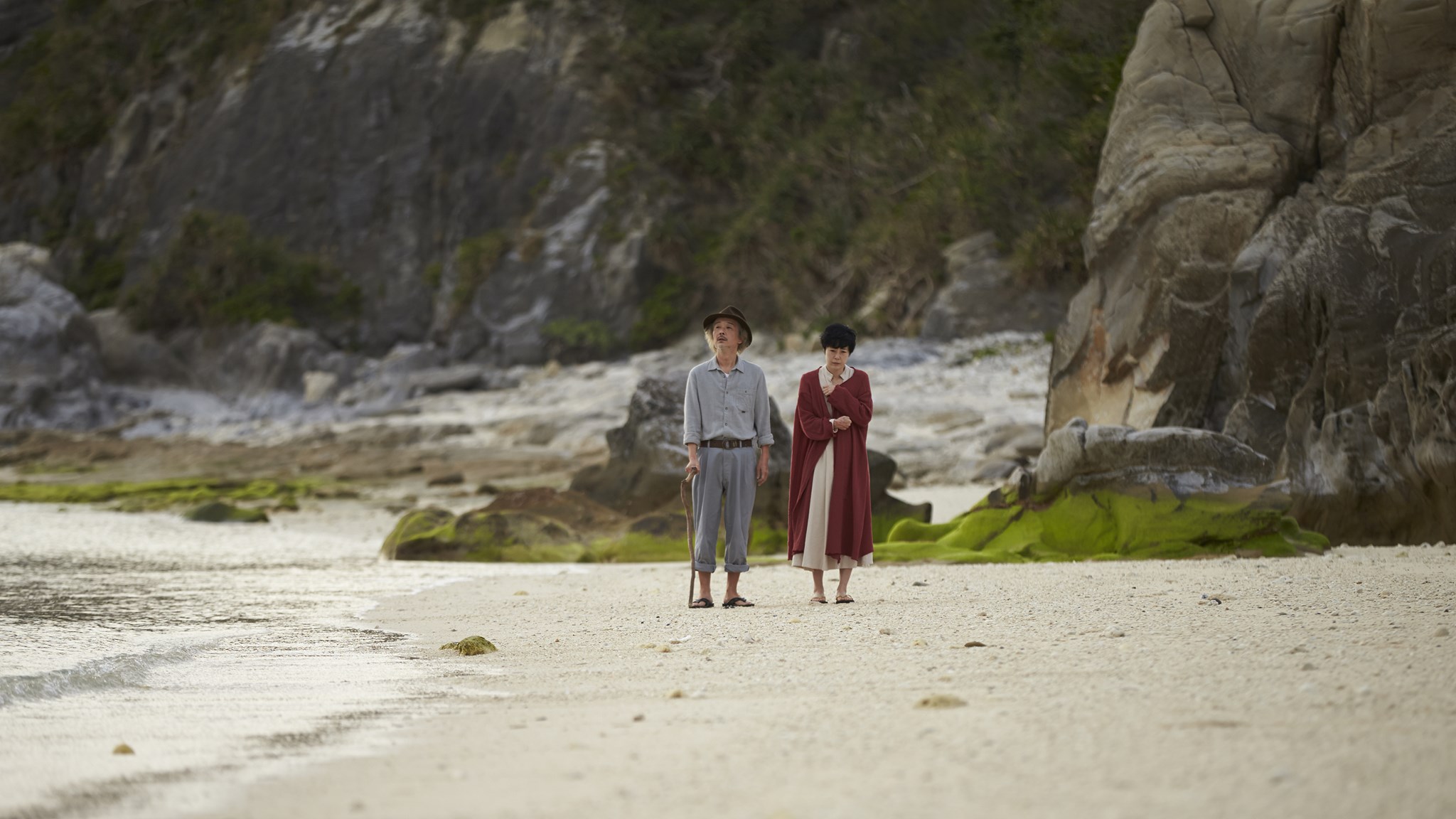 贝壳收藏家剧照的剧照