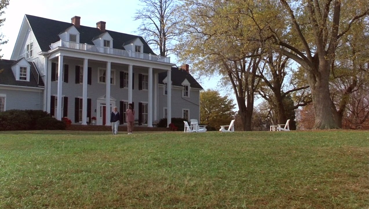 紫色爱心剧照的剧照