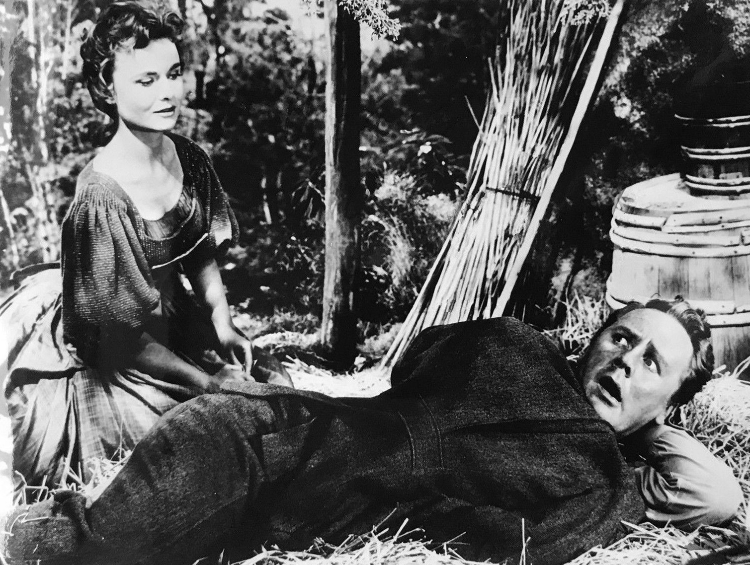 蓬岛仙舞剧照的剧照