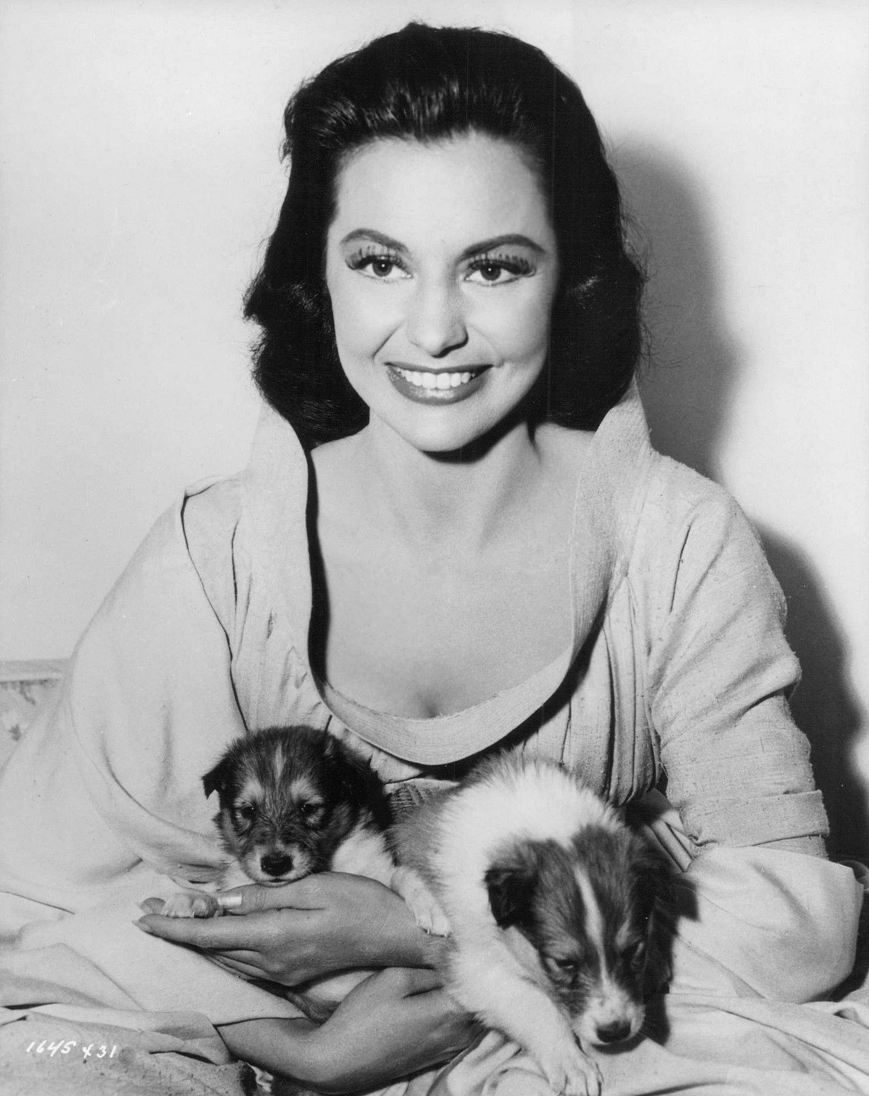 蓬岛仙舞剧照的剧照