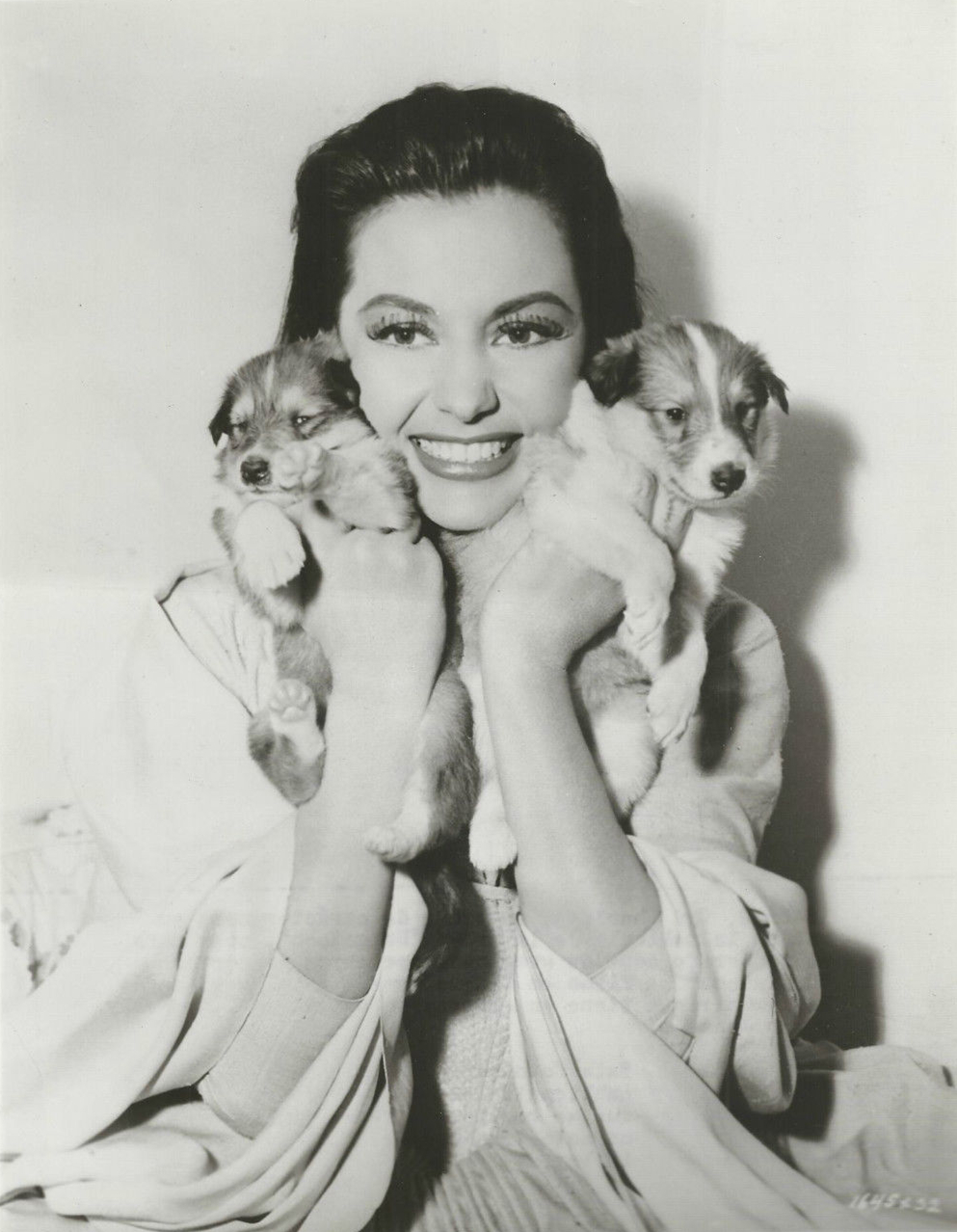 蓬岛仙舞剧照的剧照