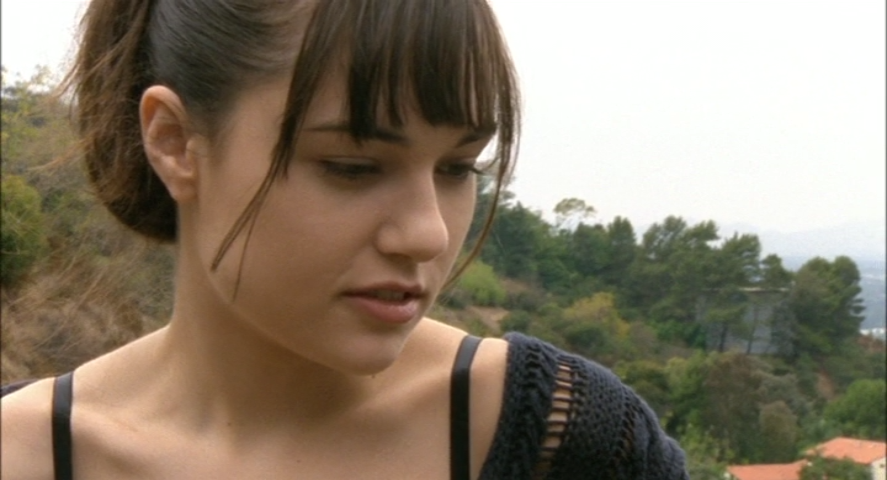 朝九晚五剧照的剧照