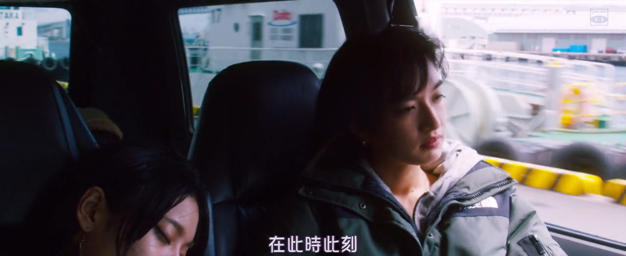 吉娃娃剧照的剧照