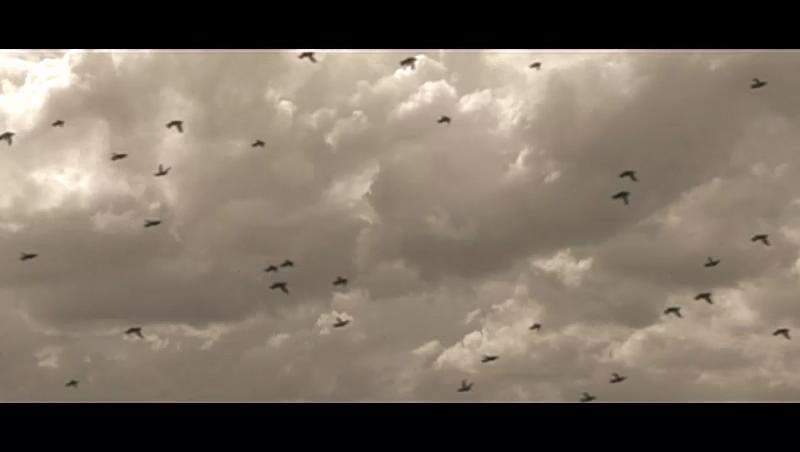 睡美人之宅剧照的剧照