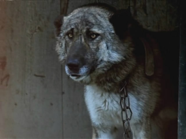 送给爱人的项链剧照的剧照