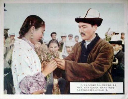 天山的红花剧照的剧照