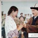 天山的红花剧照