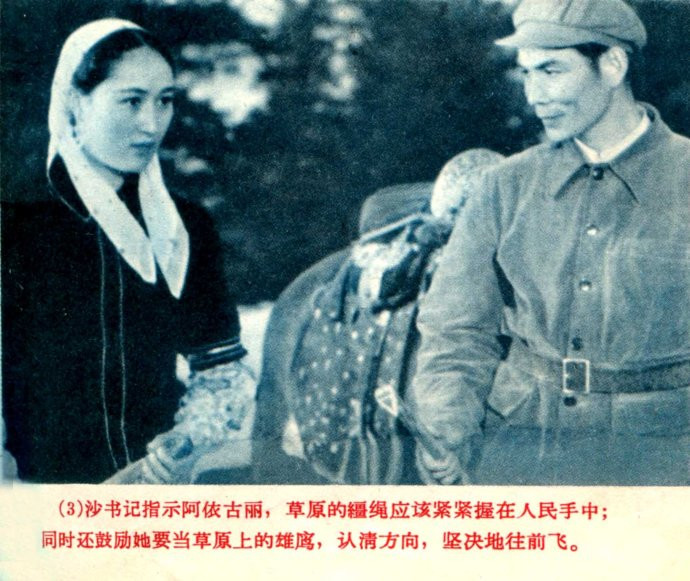 天山的红花剧照的剧照